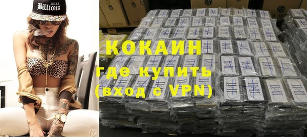 индика Алексеевка
