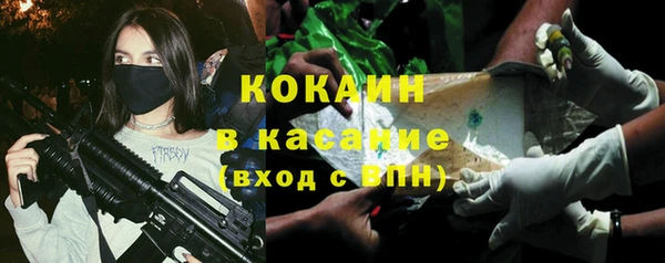 индика Алексеевка